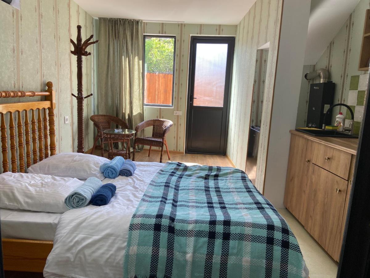 Nina'S Corner Apartment Borjomi Bagian luar foto