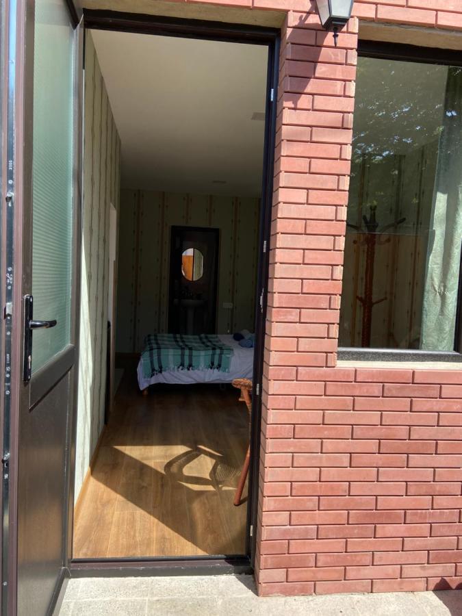 Nina'S Corner Apartment Borjomi Bagian luar foto